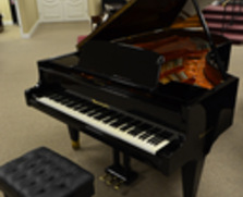 Bosendorfer Model 225